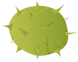 entier châtaigne Frais biologique écrou png