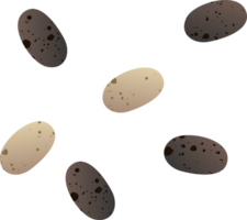 chia cereali seme biologico cibo png