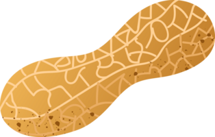 Whole peanut fresh organic nut png