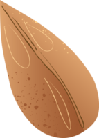 farro grano seme biologico cibo png