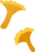 todos chanterelles orgânico fresco legumes png