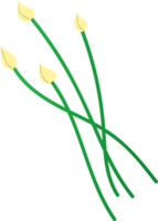 Sprigs green onions organic vegetables png