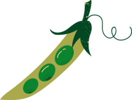 Whole peas organic fresh vegetables png