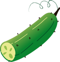 todo espinoso Pepino orgánico vegetales png