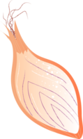 Piece shallot organic fresh vegetables png