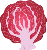 Whole red cabbage organic vegetables png