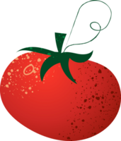 Piece tomato4 organic fresh vegetables png