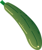 Whole zucchini organic fresh vegetables png