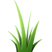 Wild growing grass. Field grass with big petals. green meadow. lawn season plants. png