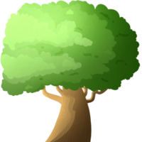 Tree with fluffy crown. Park plants. Oak with green leaves. Wood in cartoon style. png