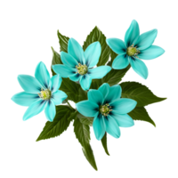 Close up macro photo of turquoise spring flower with leaves transparent isolated png