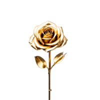 schließen oben Makro Foto von glänzend golden metallisch Rose mit Dornen und Blätter transparent isoliert png