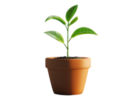 green plant in brown terracotta pot, 3d element illustration png