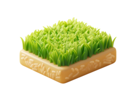 3d illustration of a rice field png