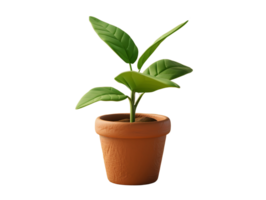 a plant in a terracotta pot, 3d element illustration png