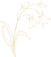 luxe d'or jacinthe des bois fleur png