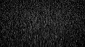 Rain Effect heavy raindrop in rainy season million particle element line with gravity on the black screen video