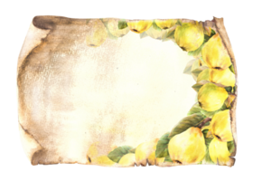 Branch of ripe quince fruit on an old sheet of papyrus, vintage scroll paper background. Watercolor hand drawn illustration. Clipart for food menu, drinks list template, card banner print. png