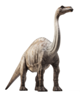 braquiossauro dinossauro isolado em transparente fundo png