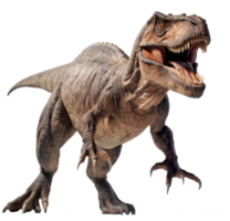 t-rex tirannosaro dinosauro isolato su trasparente sfondo png