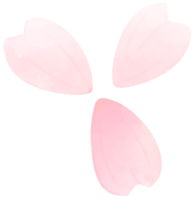 Cherry blossom water color cartoon style hand drawn illustration sakura png