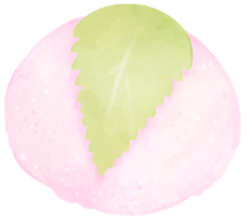 Japanese Sweet Dessert Food cartoon style Mochi Dango Macha Matcha and icecream hand drawn illustration png