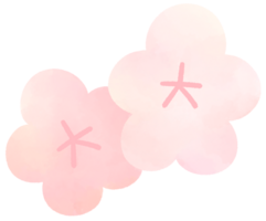 Cherry blossom water color cartoon style hand drawn illustration sakura png