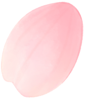 ciliegia fiorire acqua colore cartone animato stile mano disegnato illustrazione sakura png
