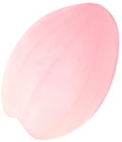 cereja Flor água cor desenho animado estilo mão desenhado ilustração sakura png