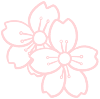 cereja Flor lineart esboço desenho animado estilo mão desenhado ilustração sakura png