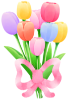 Tulips painting bouquet tulip water color cartoon style hand drawn illustration sakura png