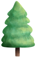 albero acquerelli cartone animato stile mano disegnato illustrazione png