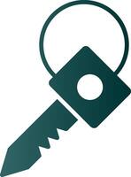 Key Glyph Gradient Icon vector