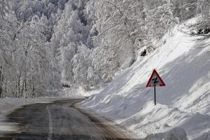 conducción en el invierno. bosque y arboles lleno de nieve. Cuidado conducción en invierno condiciones. foto