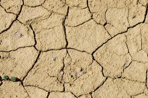 Dried land. Climate change. Severe drought. Global warming. Environmental disaster. photo