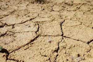 Dried land. Climate change. Severe drought. Global warming. Environmental disaster. photo