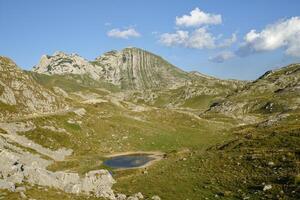 ver de prutas montaña en Durmitor nacional parque en montenegro famoso excursionismo destino. la unesco mundo patrimonio sitio. foto