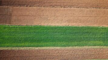 Aerial drone view of agricultural fields. Cultivating crops and farming. photo