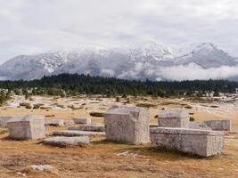 stecci lápidas medievales cementerios dugo polje en blidinje, bih. sitio de la unesco. lugar histórico de interés. las lápidas presentan una amplia gama de motivos decorativos e inscripciones. foto