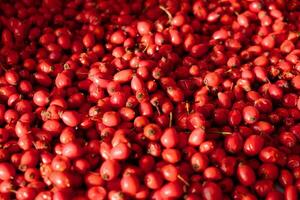 Rose hip or rosehip falling from above on the table. Empty space for copy paste. Backgrounds and textures. Red vibrant colors. Cinematic. Wild fruits and healthy food. photo