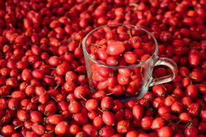 Rose hip or rosehip inside of the glass and over the table. Empty space for copy paste. Backgrounds and textures. Red vibrant colors. Cinematic. Wild fruits and healthy food. photo