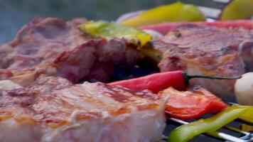 Grilled sausages and vegetables on a grilled plate, outdoor. Grilled food, bbq video