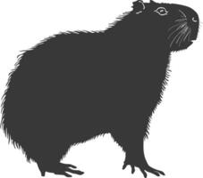 Silhouette capybara animal black color only full body vector