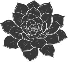 Silhouette Succulent plant black color only vector