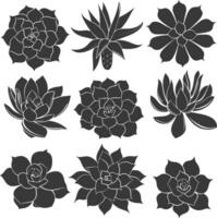 Silhouette Succulent plant black color only vector