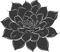 Silhouette Succulent plant black color only vector