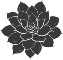 Silhouette Succulent plant black color only vector