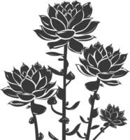 Silhouette Succulent plant black color only vector