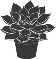 Silhouette Succulent plant black color only vector