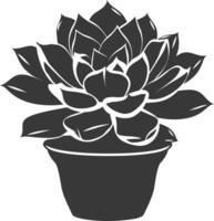 Silhouette Succulent plant black color only vector